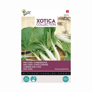 Buzzy Seeds Xotica Paksoi Kanton