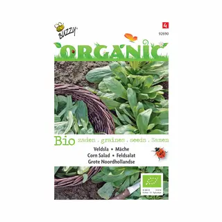 Buzzy Seeds Buzzy® Organic Veldsla Grote Noordhollandse (Bio) - Malse En Zachte Blaadjes Voor Winterse Salades