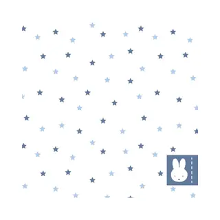 Ootje Kadootje Nijntje Blauw 20 Stuks Servetten Ok 8124