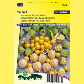 Sluis Garden - Ananaskers (Physalis Peruviana)