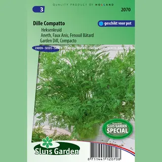 Sluis Garden - Dille Compatto (Anethum Graveolens)