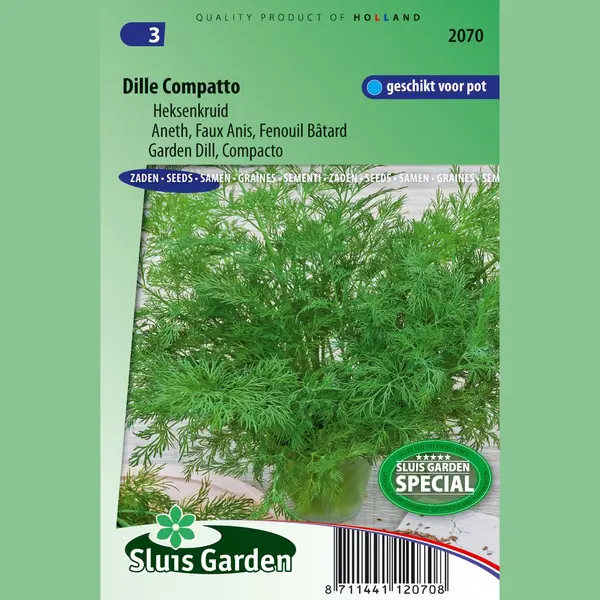 Sluis Garden - Dille Compatto (Anethum Graveolens) thumbnail