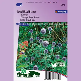 Sluis Garden - Kogeldistel Blauw (Echinops)