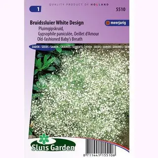 Sluis Garden - Bruidssluier White Design (Gypsophila Paniculata)