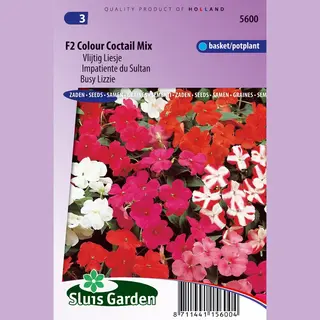 Sluis Garden Vlijtig Liesje Bloemzaden - F2 Colour Coctail Mix