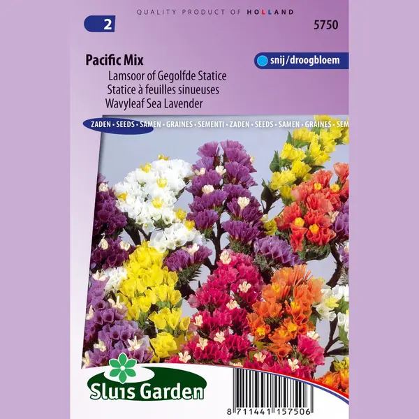 Sluis Garden - Lamsoor Pacific Mix (Statice) thumbnail