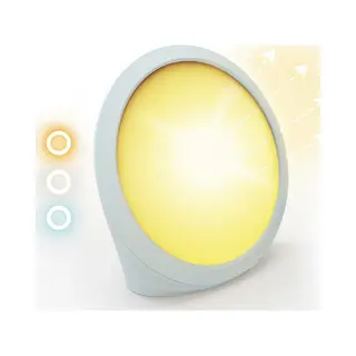 Silvergear Daglichtlamp 10.000 Lux - Daglichttherapie - Brengt Natuurlijk Daglicht Naar Binnen - Bureaulamp - Hobby - Rond - Staand - Tafellamp - Daylight -