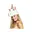 zie omschrijving