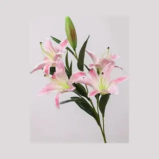 B-home decoratie.be Mica Decorations Lelie Stargazer Maat In Cm, 75 Roze - Net Echt