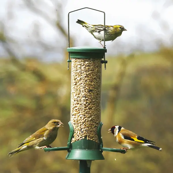 Voedersilo Challenger Kunststof 23 Cm Groen | Vogelvoer | Cj Wildlife thumbnail