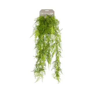 Emerald - Kunst Hangplant Asparagus Plumosus 80cm - Kunstplant Voor Binnen