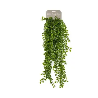 Emerald - Kunst Hangplant Ficus Pumila 80cm - Kunstplant Voor Binnen