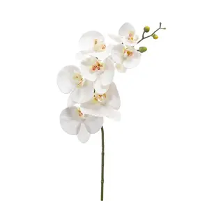 Emerald - Kunstbloem Phalaenopsis Rt Wit 83cm - Kunstplant Voor Binnen