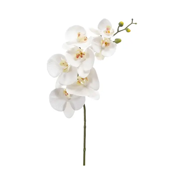Emerald - Kunstbloem Phalaenopsis Rt Wit 83cm - Kunstplant Voor Binnen thumbnail