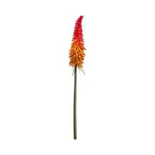 Emerald - Kunstbloem Kniphofia 85cm Rood/oranje - Kunstplant Voor Binnen