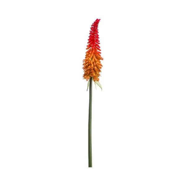 Emerald - Kunstbloem Kniphofia 85cm Rood/oranje - Kunstplant Voor Binnen thumbnail