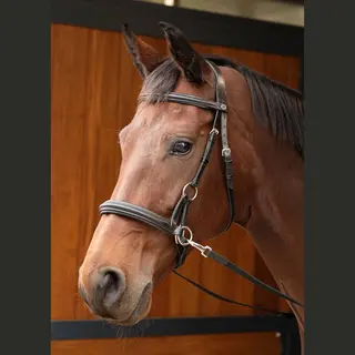 Gebissloser Zaum Harry's Horse