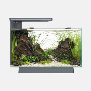 SuperFish Aquarium - Quadro 40 Pro - Verlichting - Filter - Zwart - 28L