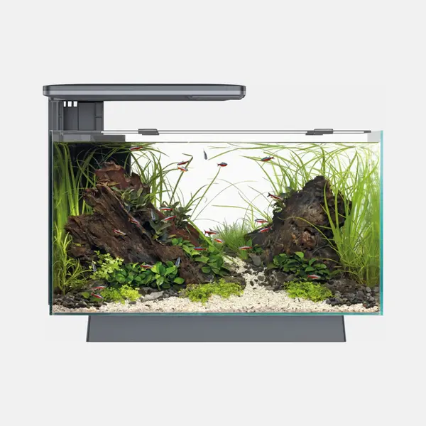 SuperFish Aquarium - Quadro 40 Pro - Verlichting - Filter - Zwart - 28L thumbnail