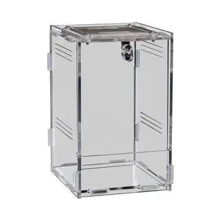 Repto Terra Clear - Insecten Terrarium 12 X 10 X 17