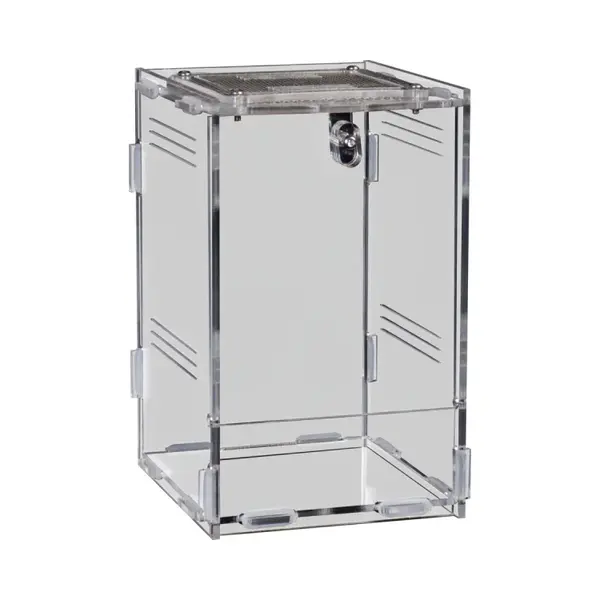 Aquacadabra Repto Terra Clear Acrylic Terrarium With Mesh Top & Safety Lock – Compact Reptile & Invertebrate Enclosure, High Clarity, Easy Assembly (11.5 X 10 X thumbnail