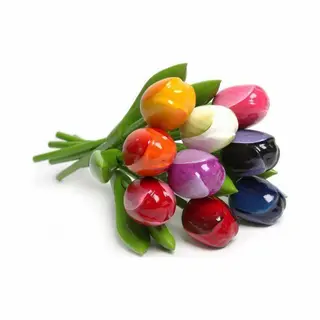 Gevavi Tulpenboeket - 9 Stuks - Nijhuis - Gekleurd - 20 Cm