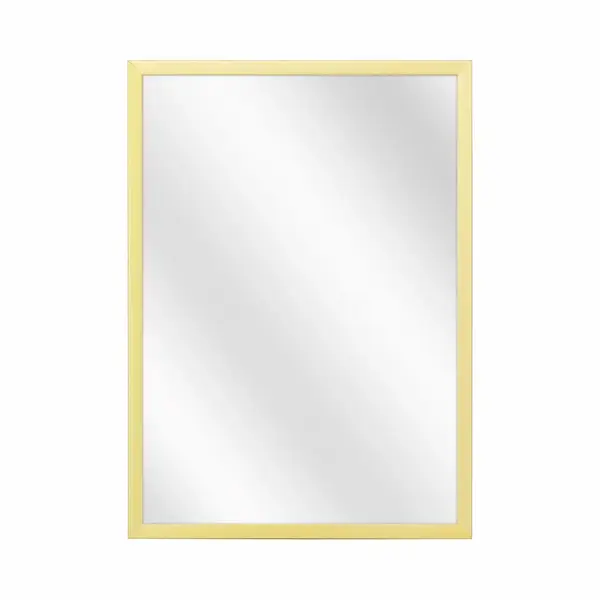 Spiegel Met Luxe Aluminium Lijst - Mat Champagne - 40x60 Cm thumbnail