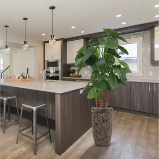 Designplants Alocasia Kunstplant