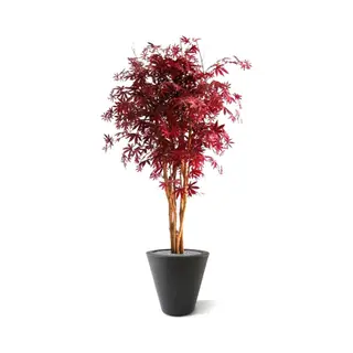 maxifleur Kunstplanten Acer Kunstboom 160cm - Burgundy