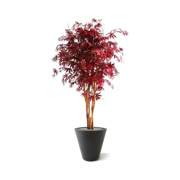 maxifleur Kunstplanten Acer Kunstboom 160cm - Burgundy thumbnail
