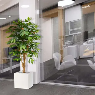 maxifleur Kunstplanten Coffee Arabica Kunstplant Deluxe 150cm N
