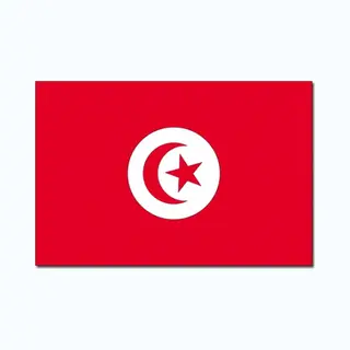 Vlag Van Tunesie - 90 X 150 Cm - Feestartikelen - Landen Thema - Supporters Versieringen - Met Ringen