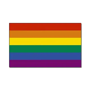 Regenboog Vlag - Gay Pride Vlag Van 90 X 150 Cm - Polyester