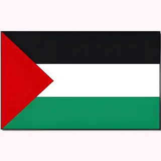 Vlag Palestina - 90 X 150 Cm - Palestijnse Vlag - Palestine