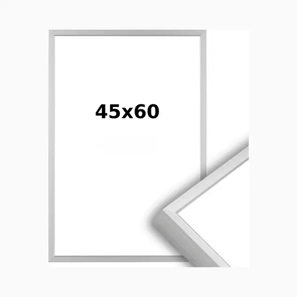 Lichtendonk Aluminium Wissellijst 45 X 60 Matzilver - Ontspiegeld Glas - Professional thumbnail