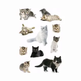Katten Stickers - 3x Vellen 16 X 9 Cm - Stickervel - Poezen - Hobby - Knutselen - Kinderstickers - Kattenstickers/poezenstickers