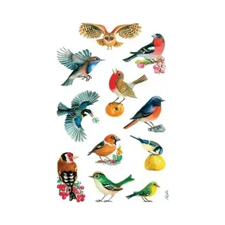 Vogel Stickers - 6x Stuks - Stickervellen Van Dieren