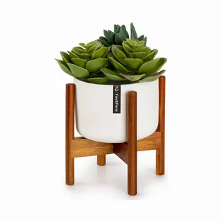 Fox & Fern Thorn Bloempot Met Standaard In Jaren 50 Stijl 2 Formaten