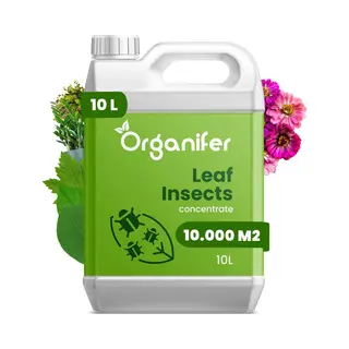 Organifer Leaf Insects Bladinsecten Concentraat (10L, 10.000m2) - Bladluis – Buxusrups – Geschikt Voor Wolluizen, Spint, Anri-rupsen, Bladluizen,