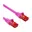 Roze