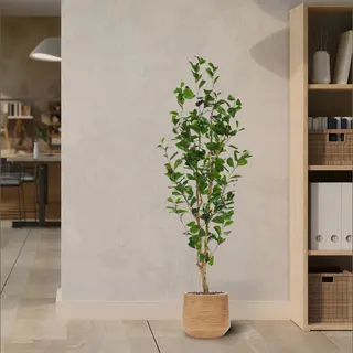 maxifleur Kunstplanten Ficus Triangularis Kunstplant 150cm