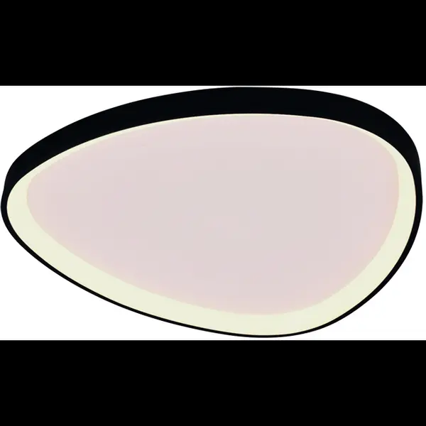 Freelight Plafondlamp Organico Zwart 40W Ø 45cm Dimbaar thumbnail