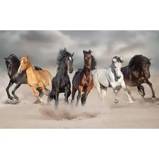 Bellatio Decorations Dieren Poster Galopperende Paarden In Het Zand - 84 X 52 Cm - Kinderkamer Deco Posters Met Paard - Kinderposters - Cadeau Paardenliefhebber