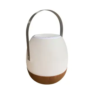 Human Comfort Cosy Lamp Pintac Wood - Tafellampen Elektrisch - Wood