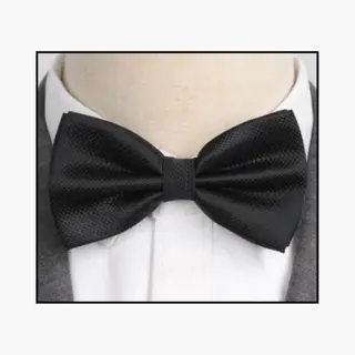 Vlinderdas | Vlinder Strik | Bow Tie | Voor Volwassenen | Voorgestrikt | Strik | Geruit | Zwart