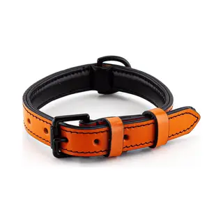 Brute Strength Leather Dog Collar - Orange - M - 36-43 Cm