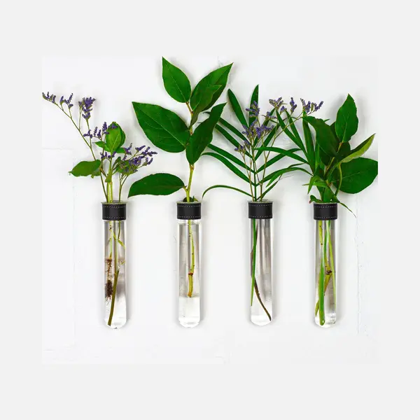 Twilg - Reagenzgläser Für Blumen Mit Schwarzem Leder Und Wandmagnet - 4er Set - Blumenvase, Magnetische Vase, Reagenzgläser Mit Ständer thumbnail