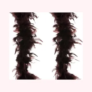 Carnaval Bruine Veren Boa - 2 Stuks Van 2 Meter - Verkleedkleding Accessoire