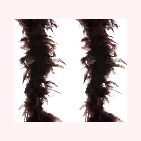 Carnaval Bruine Veren Boa - 2 Stuks Van 2 Meter - Verkleedkleding Accessoire thumbnail