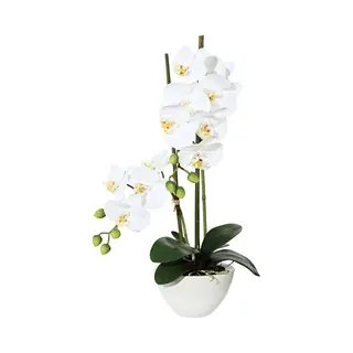 Kopu® Kunstbloem Orchidee 50 Cm Wit Met Cement Sierpot - Phalenopsis